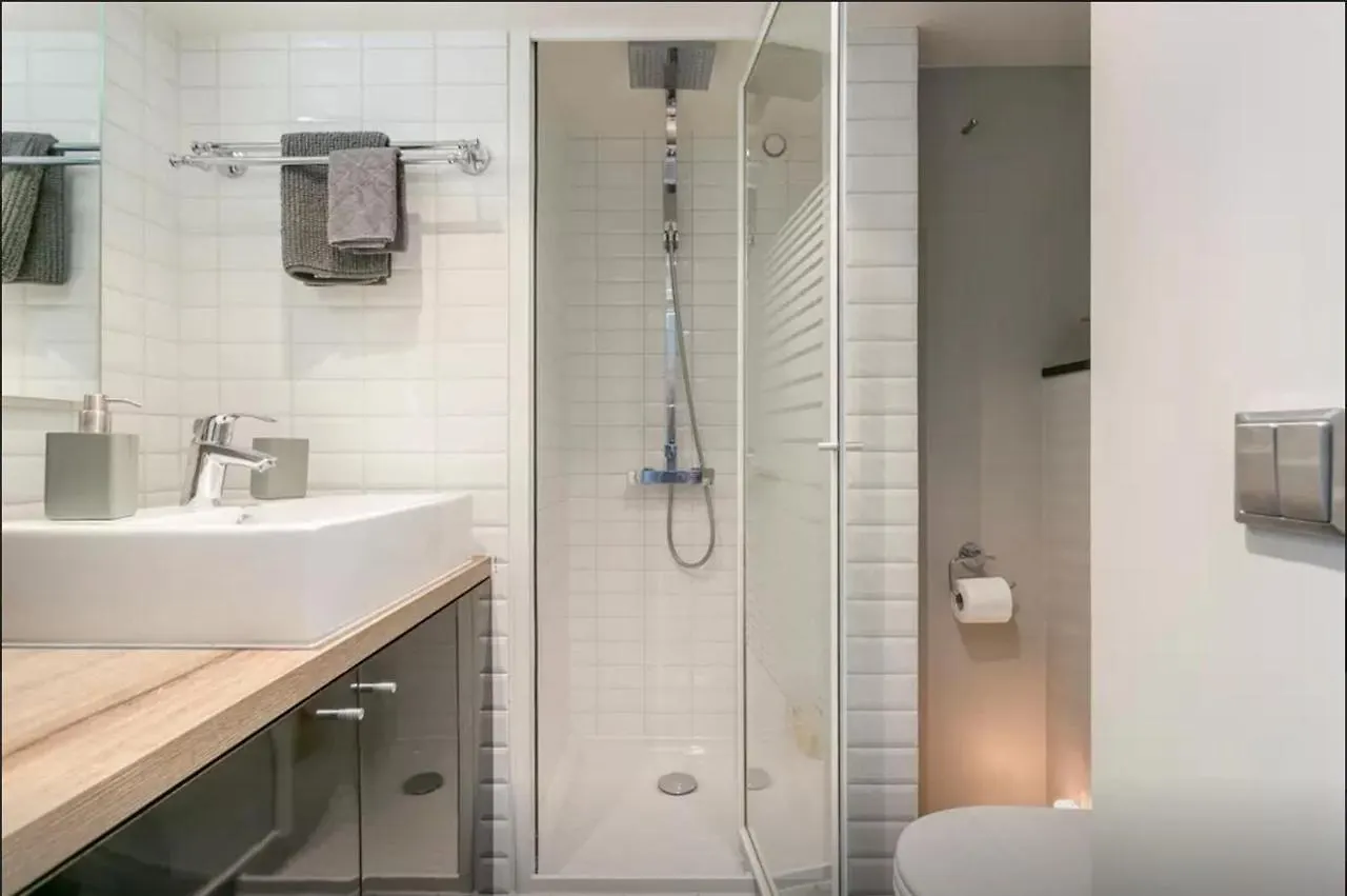 Loft St. Germain Apartment Paris